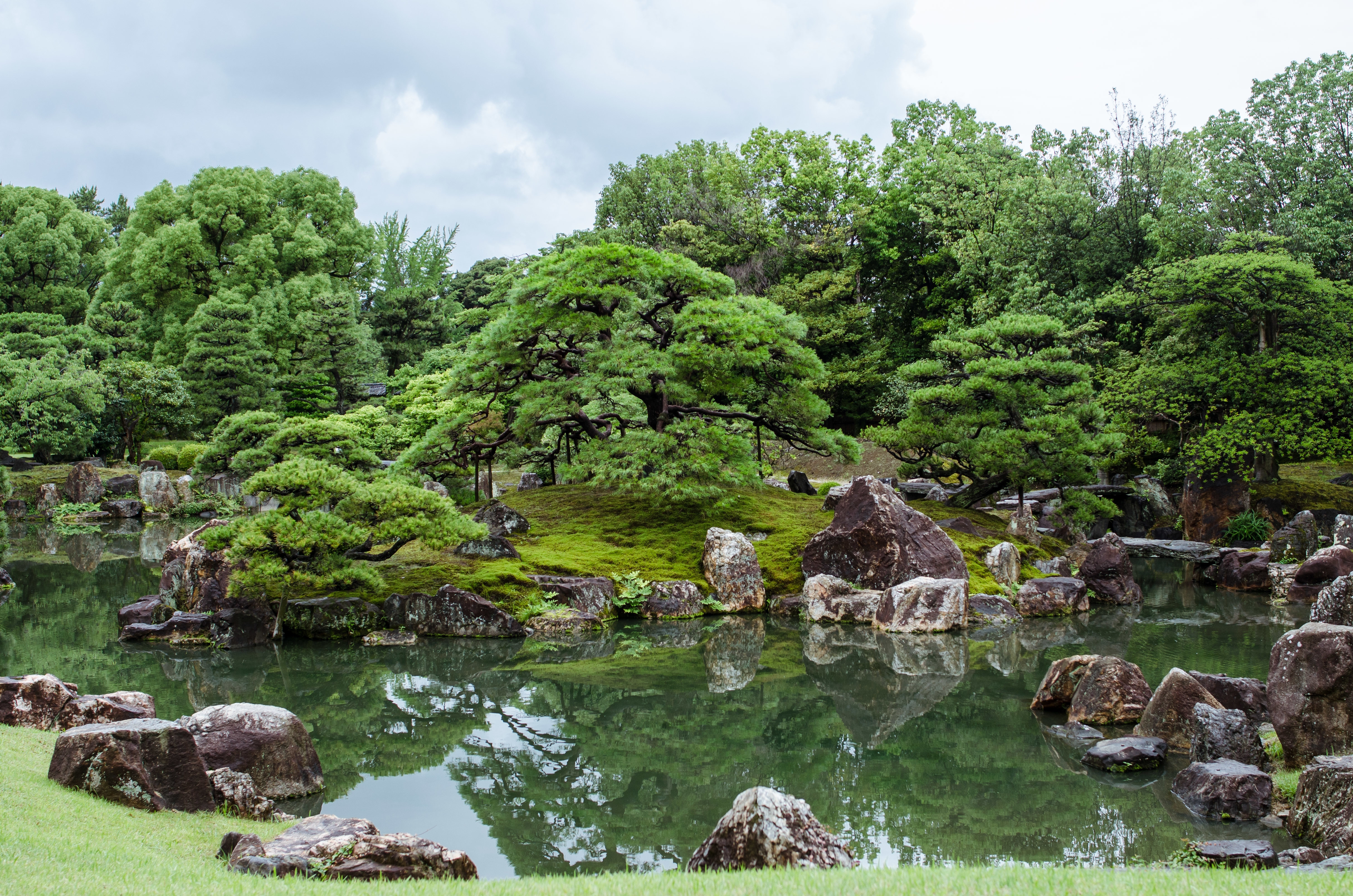 The lily pond and grounds at Honeysuckle Hill